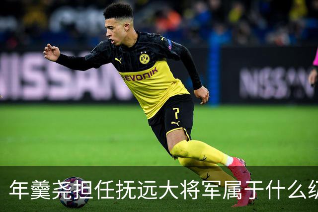 年羹尧担任抚远大将军属于什么级别？与大学士和军机大臣相比如何？